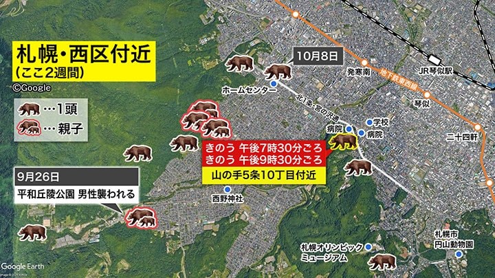 クマの出没場所