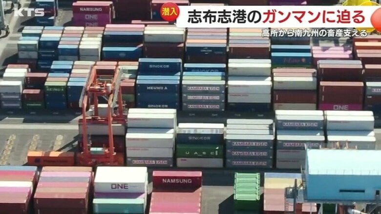 志布志港国際コンテナターミナル