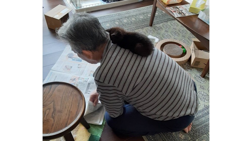 親父が拾ってきたんだけど 命の恩人 になつく子猫に約30万いいね その後にもほっこり 今年私バズりました Fnnプライムオンライン Goo ニュース