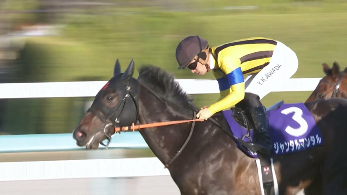 ジャンタルマンタル 川田将輝騎手☆朝日杯フューチュリティステークス