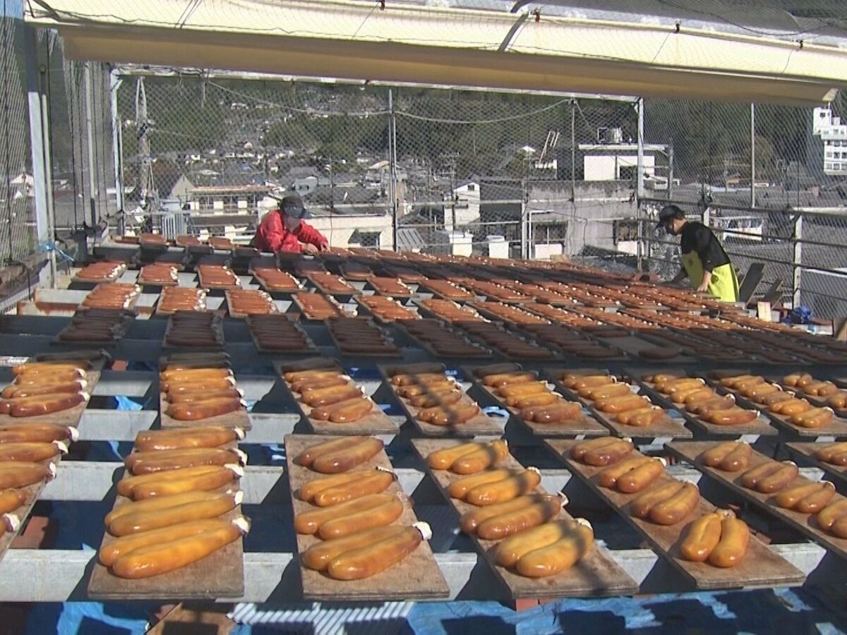 ボラの卵巣で作る高級珍味 カラスミ 作りが最盛期 塩漬けを天日干しして鮮やかなべっこう色に ボラの卵巣で作る高級珍味 カラスミ 作りが最盛期 塩漬けを天日干しして鮮やかなべっこう色に