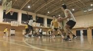 バスケ新リーグ「Ｂリーグワン」香川ファイブアローズ　１０．３ホーム開幕戦に向け注目選手を紹介【香川】