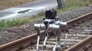 “クマとの遭遇”防ぐロボット！？線路点検でクマの目撃増加…作業員の安全確保へ開発進む「仕事に専念できる存在に」新潟