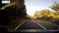 【ヒグマ速報 動画あり】車を運転中に突然飛び出してきたクマ…体長約1.5メートルで中央線の手前で止まり、そのまま引き返す〈北海道新得町〉