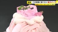 ケーキにサブレ…いま食べたい自慢の“桜スイーツ”がずらり　花見シーズン到来で春気分を満喫　福岡