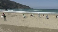 冬に多くのごみ漂着…春を迎えた海岸で清掃活動　美しい環境保全へ飲料メーカーと住民タッグ（島根）