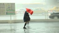 【気象解説】朝の通勤・通学は大雨と強風に注意　電車の運行に影響か…早めの行動を　土曜日は再び雨で今週も雨の週末