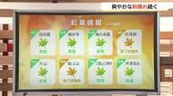 冷え込みに紅葉進む　16日の山陰は朝晩ひんやり日中は汗ばむ暑さに「秋晴れ」も寒暖差大きい1日