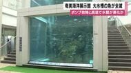 奄美市海洋展示館で大水槽の魚が全滅　ポンプ故障と高温で水質が悪化か