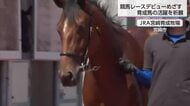 育成馬の活躍と安全を祈願　JRA宮崎育成牧場でお祓い