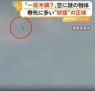 まるで妖怪「一反木綿」　空を舞う物体の“正体”は飛ばされた農業用ビニールか　電線に絡まれば停電の恐れも　佐賀市