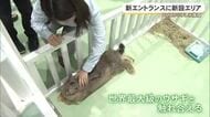 DMMかりゆし水族館　新エントランスとエリア新設