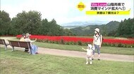 予約が4倍に 消費喚起キャンペーンに敏感反応 人気ホテルは満室状態 温泉旅館も期待感(島根・鳥取)