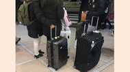 爆買いは終わり?春節で日本にやってきた中国人ウォッチ