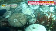 被害額46億円以上…どうする「赤潮」対策 北海道の