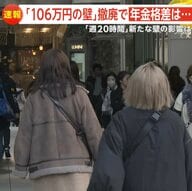 「106万円の壁」撤廃で年金格差は　年収106万円や企業規模の制限撤廃盛り込むも…週20時間が焦点に　年金制度改革で議論続く