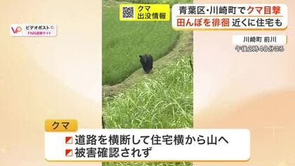 【動画あり】田んぼを徘徊→県道を横断　宮城県川崎町でクマ目撃　仙台市内でも目撃情報