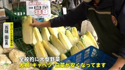 大根・キャベツ・白菜は「今がチャンス」天候に恵まれ“お買い得”に　「鍋ばっかりになりそう」消費者は喜びの声