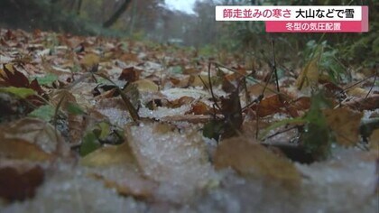 「もう痛い…」山陰各地で“師走並み”の寒さ　落ち葉の上に積雪　冬型の気圧配置で大山は雪化粧（鳥取）