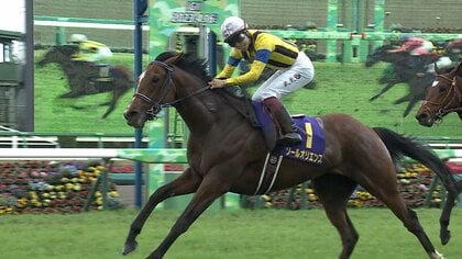 日本ダービー3勝の福永祐一が語る今年の注目ポイント。皐月賞馬ソールオリエンスも挑む3歳馬7708頭の頂点は？