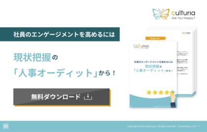 企業の人事戦略立案の第一歩、「現状把握の『人事オーディット』から始める組織改革」解説ガイドを無料公開!