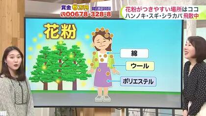 北海道【菅井さんの天気予報 3日(金)】サクラはまだでも夏到来…！？週末は道東で20℃超えも！花粉対策は髪の毛にも