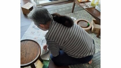 「親父が拾ってきたんだけど」“命の恩人”になつく子猫に約30万いいね! その後にもほっこり【今年私バズりました】