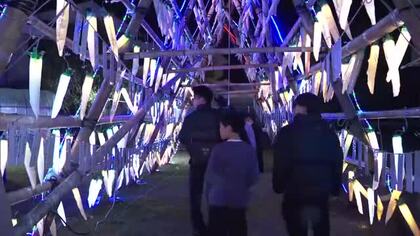 冬の風物詩「大根やぐら」イルミネーション　宮崎市のJR田野駅前に点灯