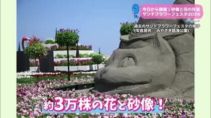 宮崎市でサンドフラワーフェスタ 【トレリン】
