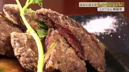 お得に乾杯！「ちょい飲み手帖」から『季悦やいろ』＆『酔鯨亭』の大満足セットを紹介【高知】