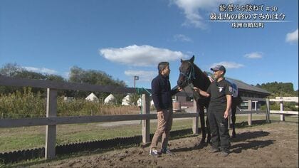 引退した競走馬と被災地で思い描く　「人とウマが共生」する社会