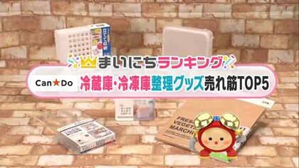 中身が見えてすっきり…「Can Do」冷蔵・冷凍庫の整理グッズ売れ筋TOP5