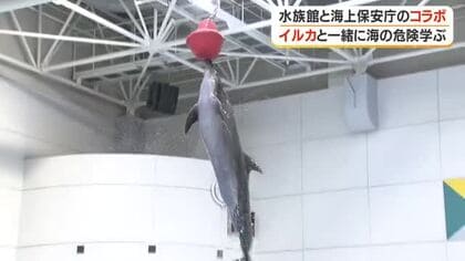 水族館と海上保安庁のコラボ　イルカと一緒に海の危険学ぶ【鹿児島】