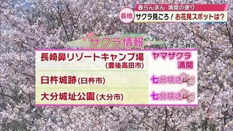 県内各地で桜見ごろ　ライトアップやお花見スポットの開花状況は？「感動した」「めちゃくちゃ壮大」大分