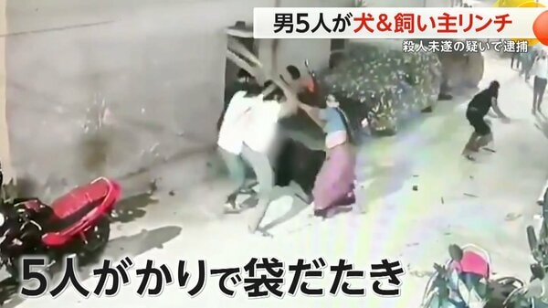 安い リードなしで犬の散歩 逮捕