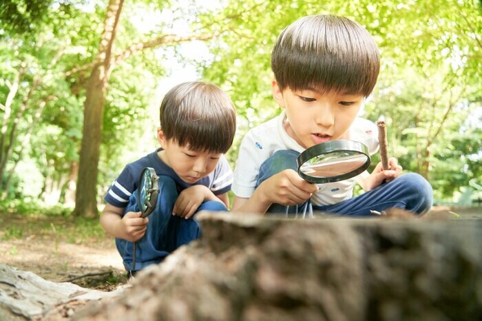 “知的”好奇心につなげるには、問いかけや促し方が重要だという。自分のペースでチャレンジできるのも通信の魅力だ(※画像はイメージです)