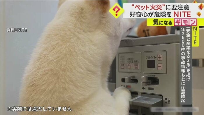 “留守番中”の犬が前足をガスコンロのスイッチにかけてしまい…
