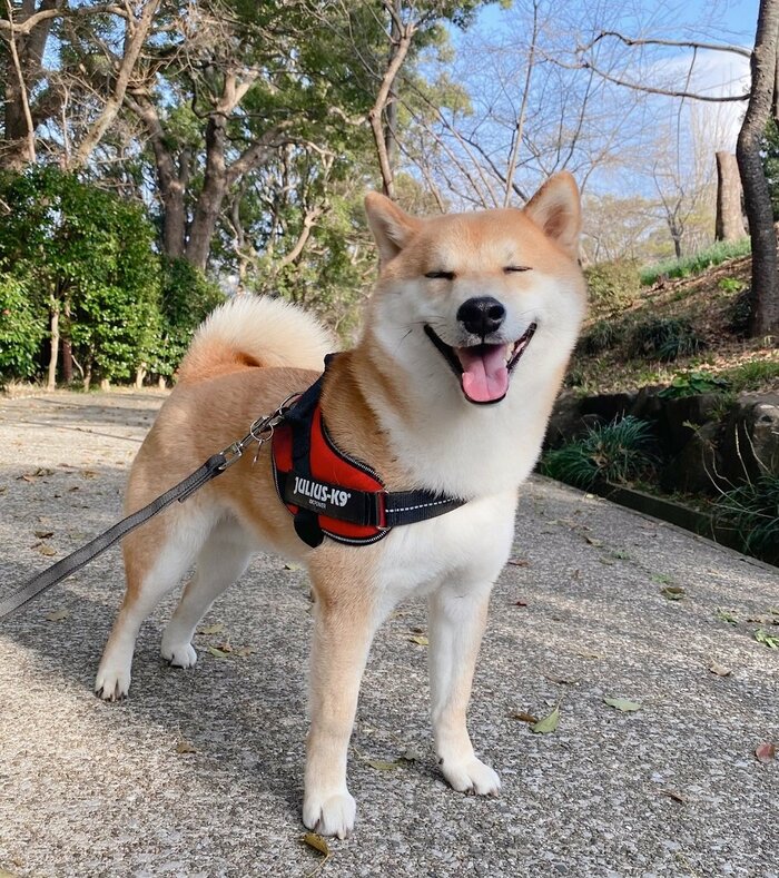 ニッコリ笑顔