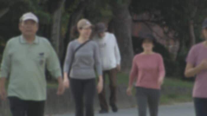 「健康的に瘦せる」タンパク質に脚光