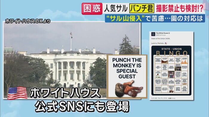 ホワイトハウスのSNSにも登場