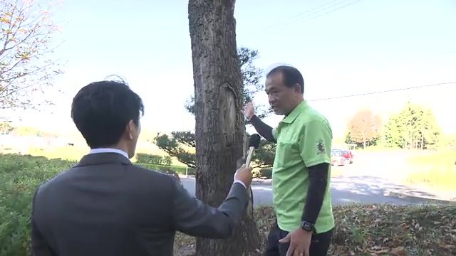 10月にムシテックワールドでも発見される