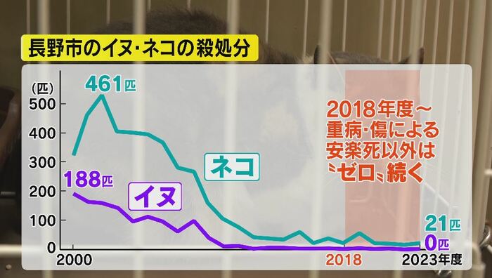長野市のイヌ・ネコの殺処分