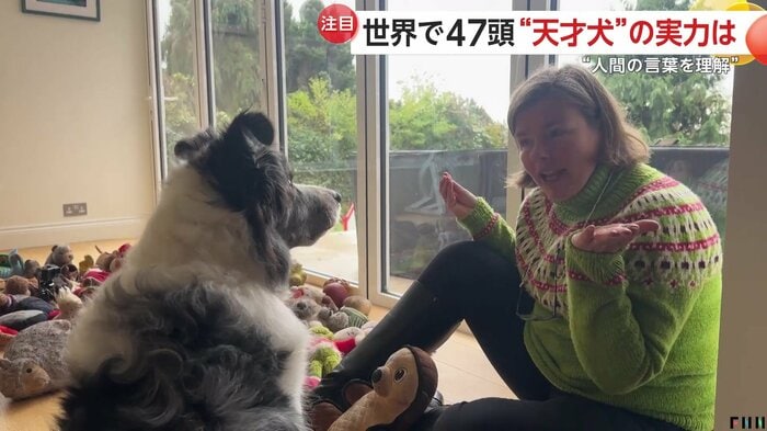 アイリーンさんとハービーくん