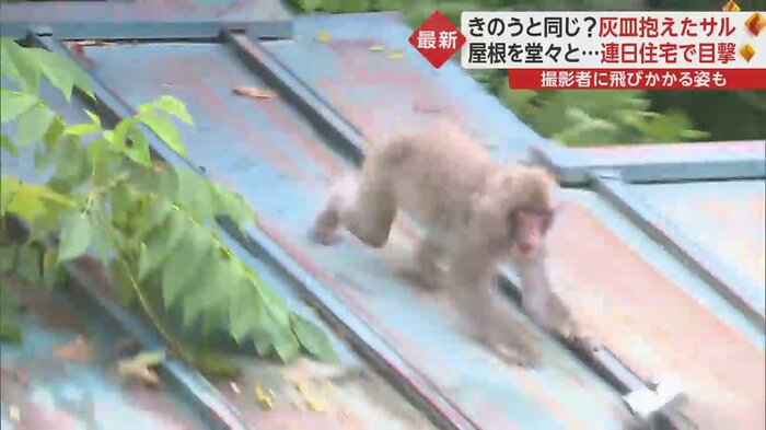 あーー大事な灰皿が!!
