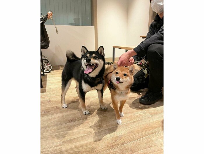 提供:まめふく&ゆめくりさん