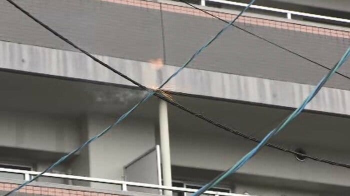 電線同士が接触し火が出ている