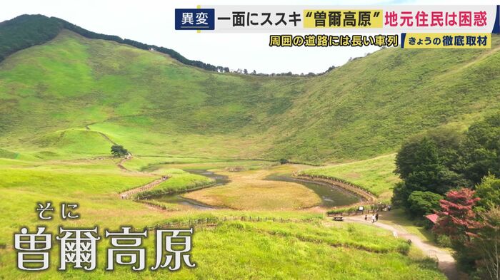 曽爾高原
