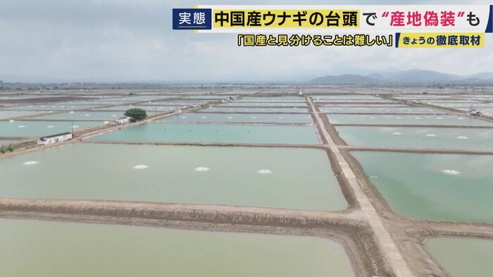 中国広東省・台山市の養殖場