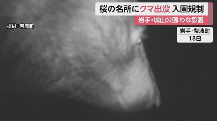 紫波町は城山公園への入園を規制、監視カメラを設置して警戒