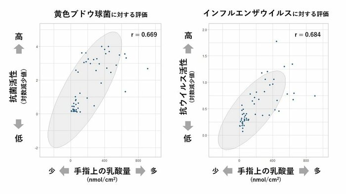 手指上での乳酸量と手指表面成分の抗菌・抗ウイルス活性との関係(画像提供:花王)